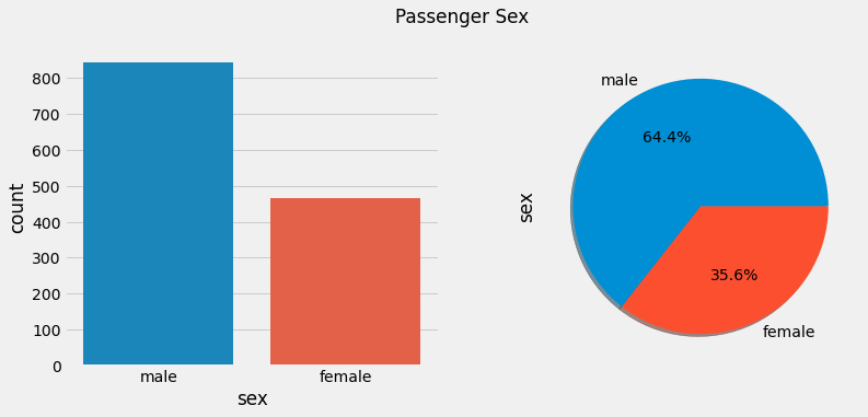 Passenger Sex